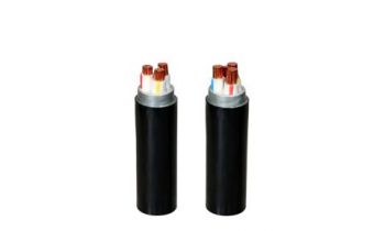 CXE/DATA − 0,6/1 kV & CXE/DSTA − 0,6/1 kV